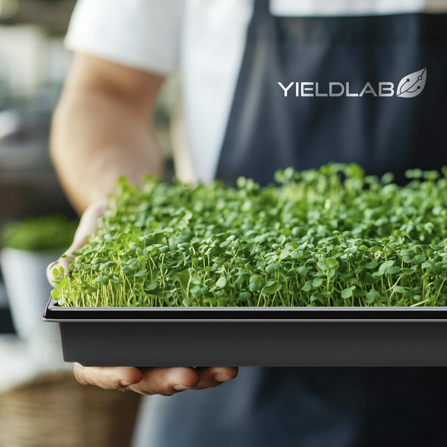 Yield Lab tray dimensions comparison with ruler