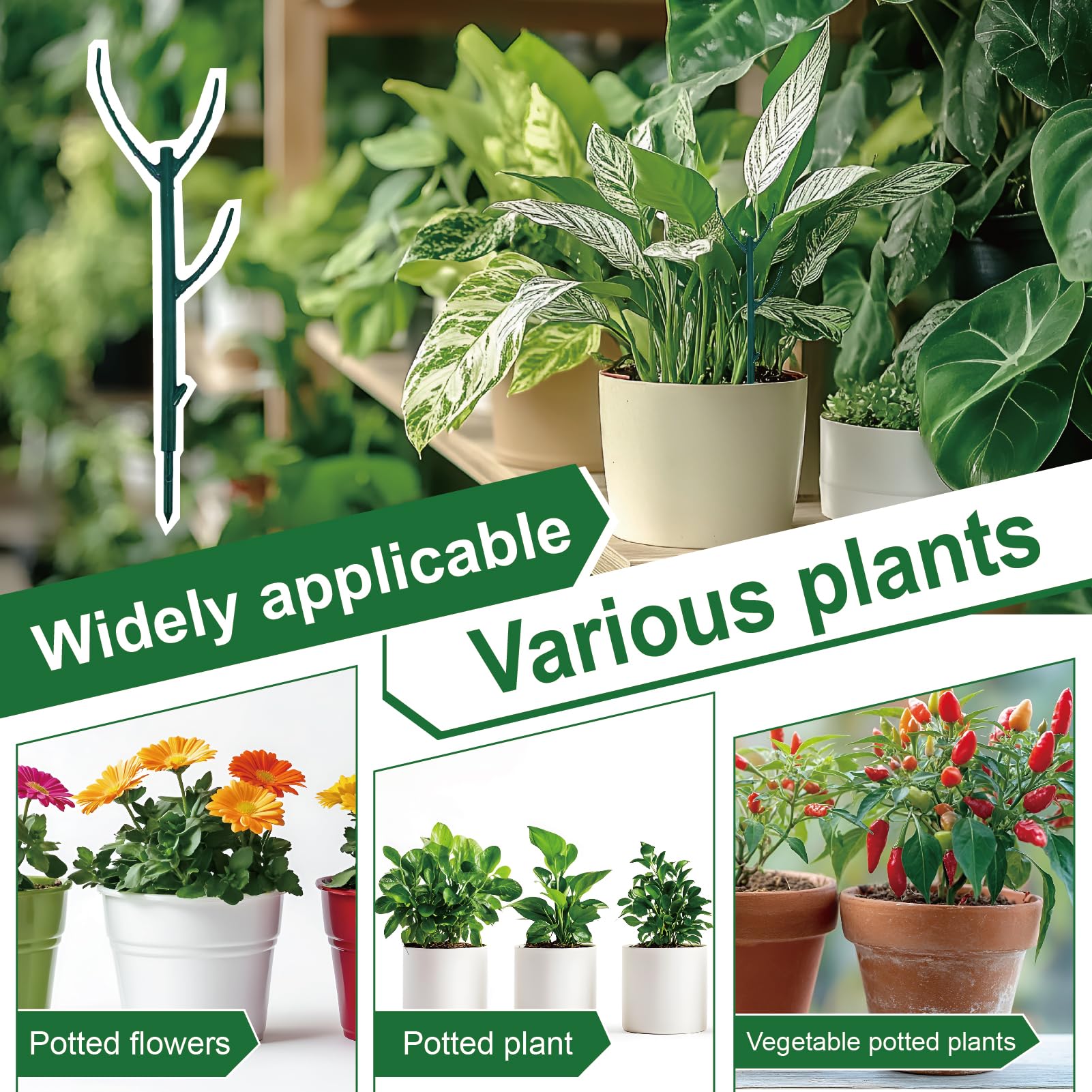 YILEGSYO Plant Support Stakes with detailed dimensions