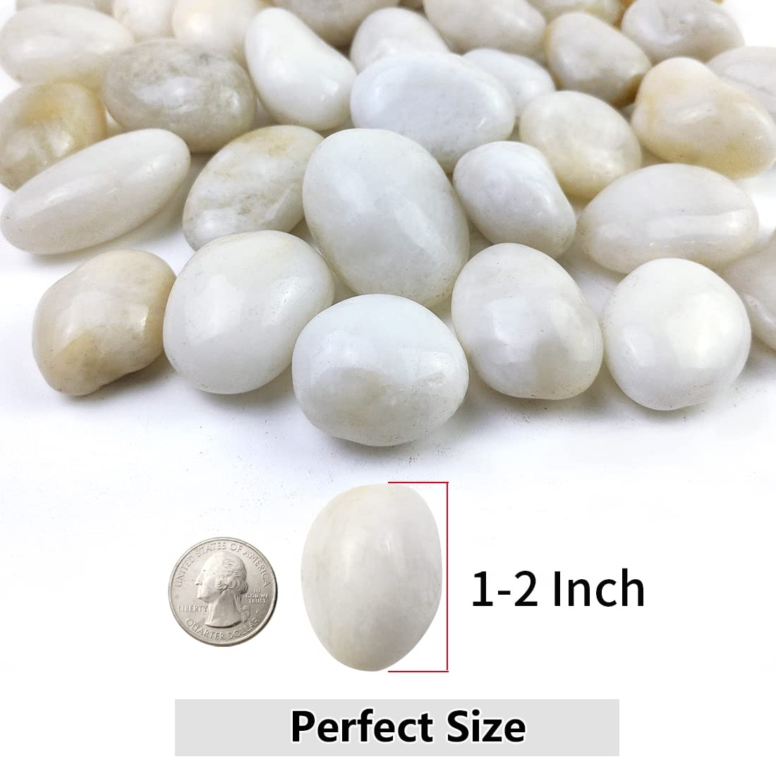 YISZM 10lbs white river rocks displayed in a decorative planter