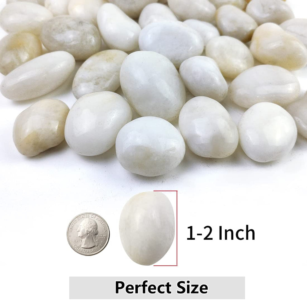 YISZM 10lbs white river rocks displayed in a decorative planter