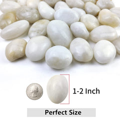 YISZM 10lbs white river rocks displayed in a decorative planter