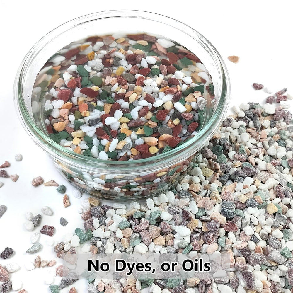 YISZM 2LB gravel pebbles dry in a decorative vase
