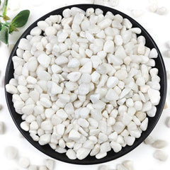 YISZM 2LB succulent and cactus gravel pebbles, white stones front view