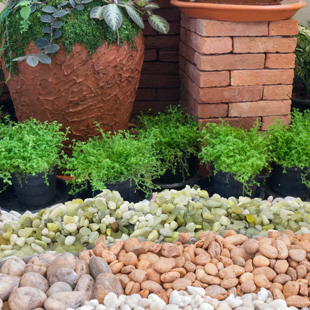 YISZM 2LB Succulent Pebbles in outdoor landscaping