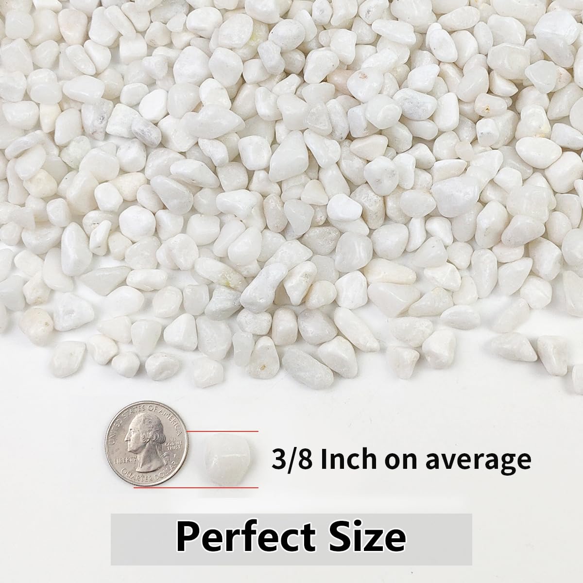 YISZM 2LB white stones displayed in a garden setting