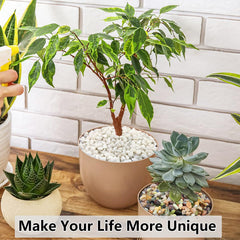 YISZM gravel pebbles showcased in a decorative vase
