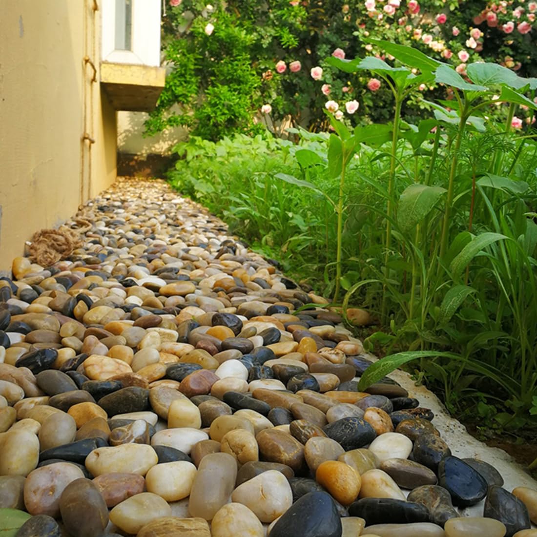 YISZM pebbles arranged in a decorative planter