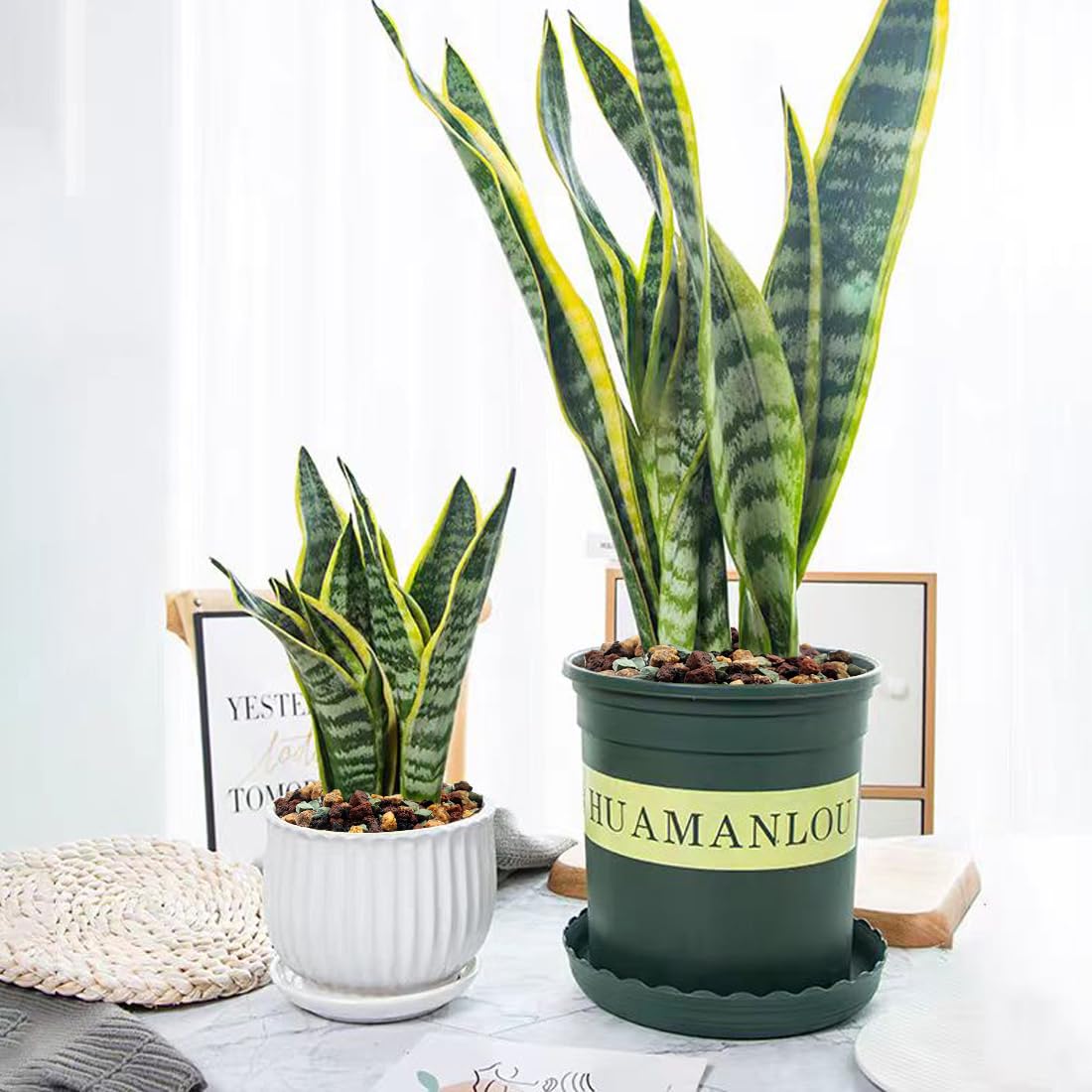YISZM potting mix showing packaging details and ingredients