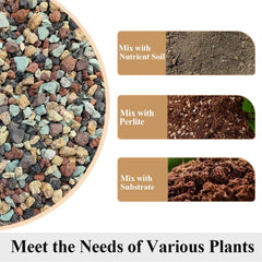 YISZM potting mix spread out to show texture and consistency