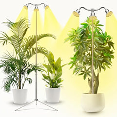 Yiyehu Full Spectrum Grow Light with tripod set up in a plant pot