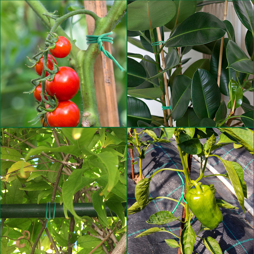 YMHB Soft Twist Tie in use on tomato plants