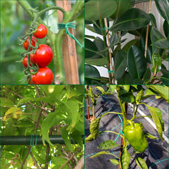 YMHB Soft Twist Tie in use on tomato plants