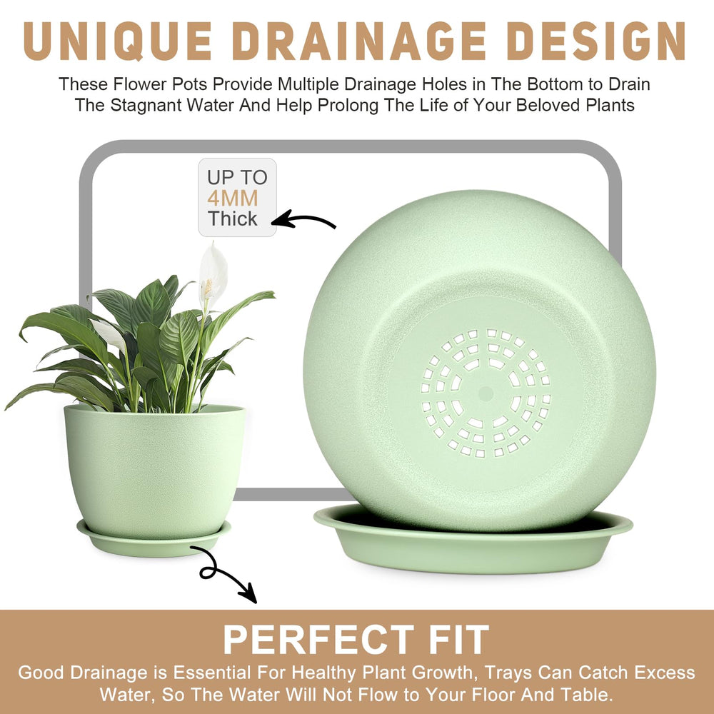 YNNICO 10 inch pot with built-in tray