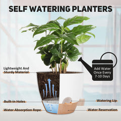 YNNICO 12-inch large plant pot with saucer