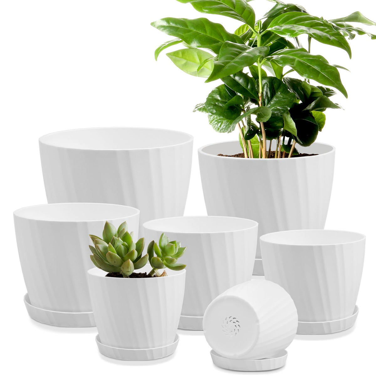YNNICO 7 pcs indoor plant pots set with saucers in stripe white