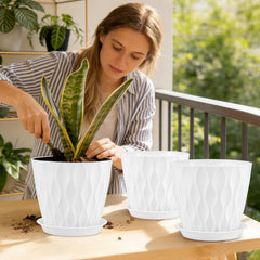 YNNICO 8 inch plant pot with a succulent inside