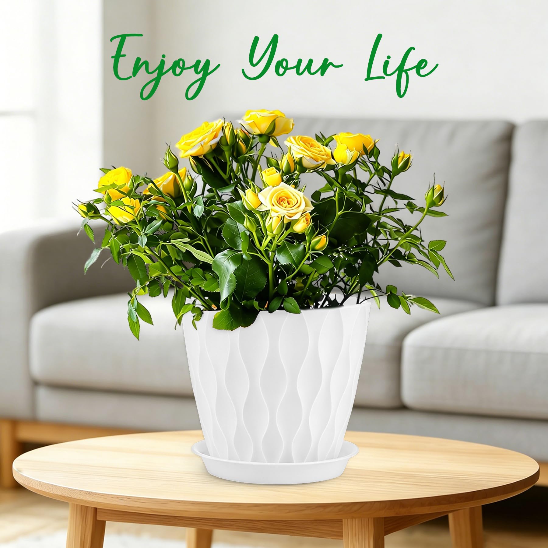 YNNICO 8 inch plant pot with Aloe Vera plant