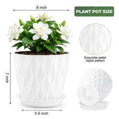 YNNICO 8 inch plant pots arranged with various indoor plants
