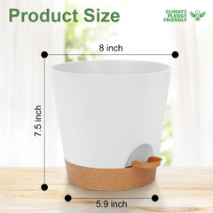 YNNICO 8-Inch planter with indoor houseplants