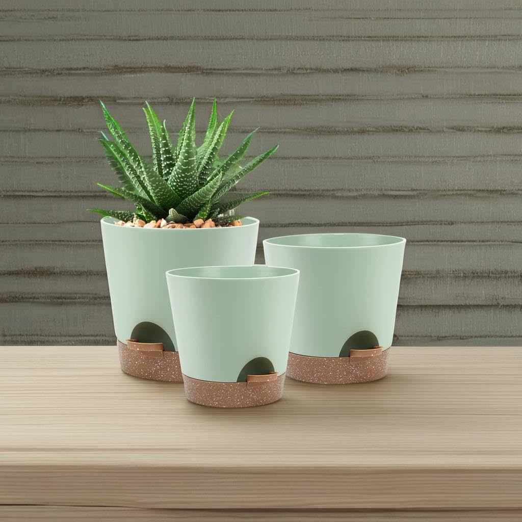 YNNICO 8-inch self watering planter with plants inside