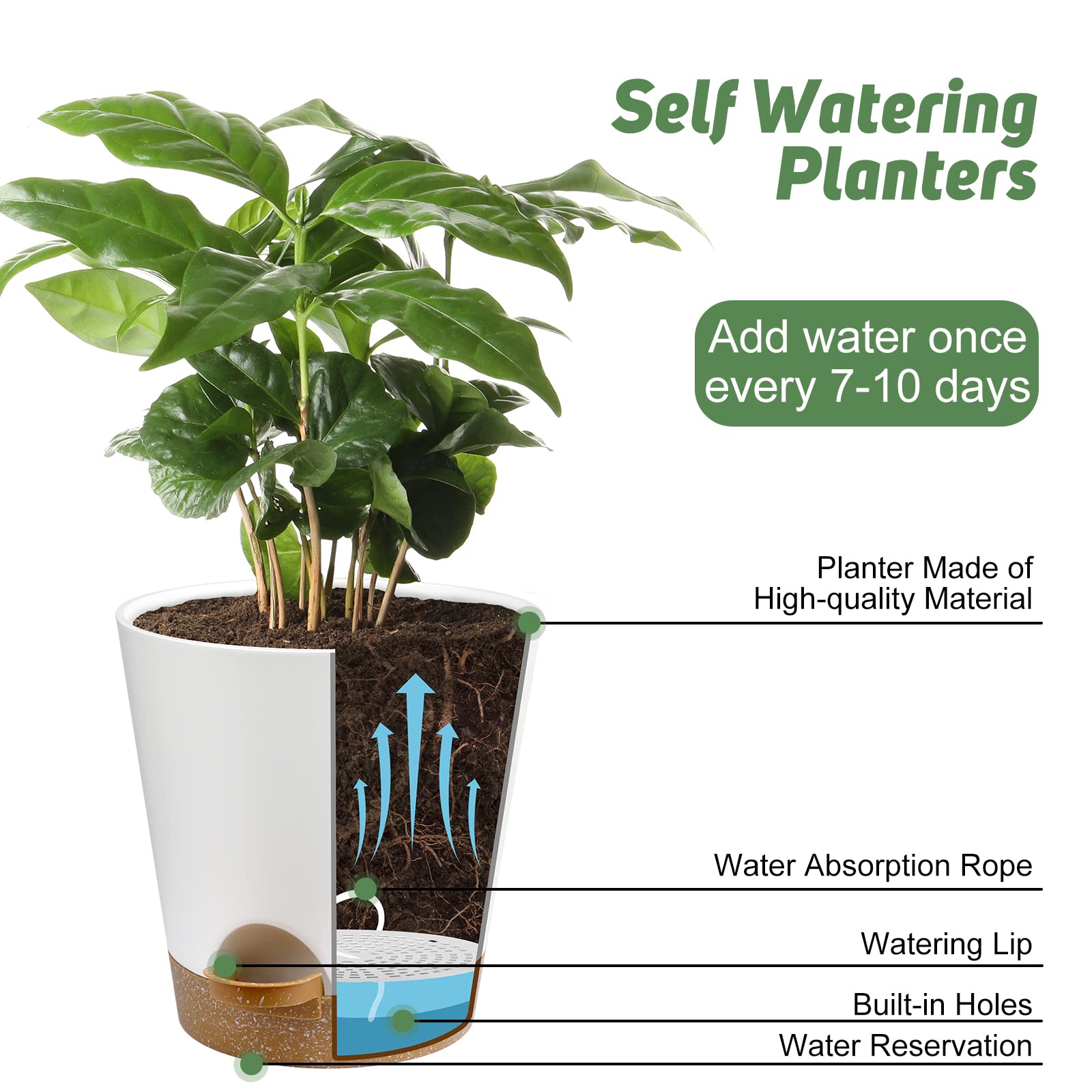 YNNICO Indoor Self Watering Planters 5.5 inch white pot with clean matte finish