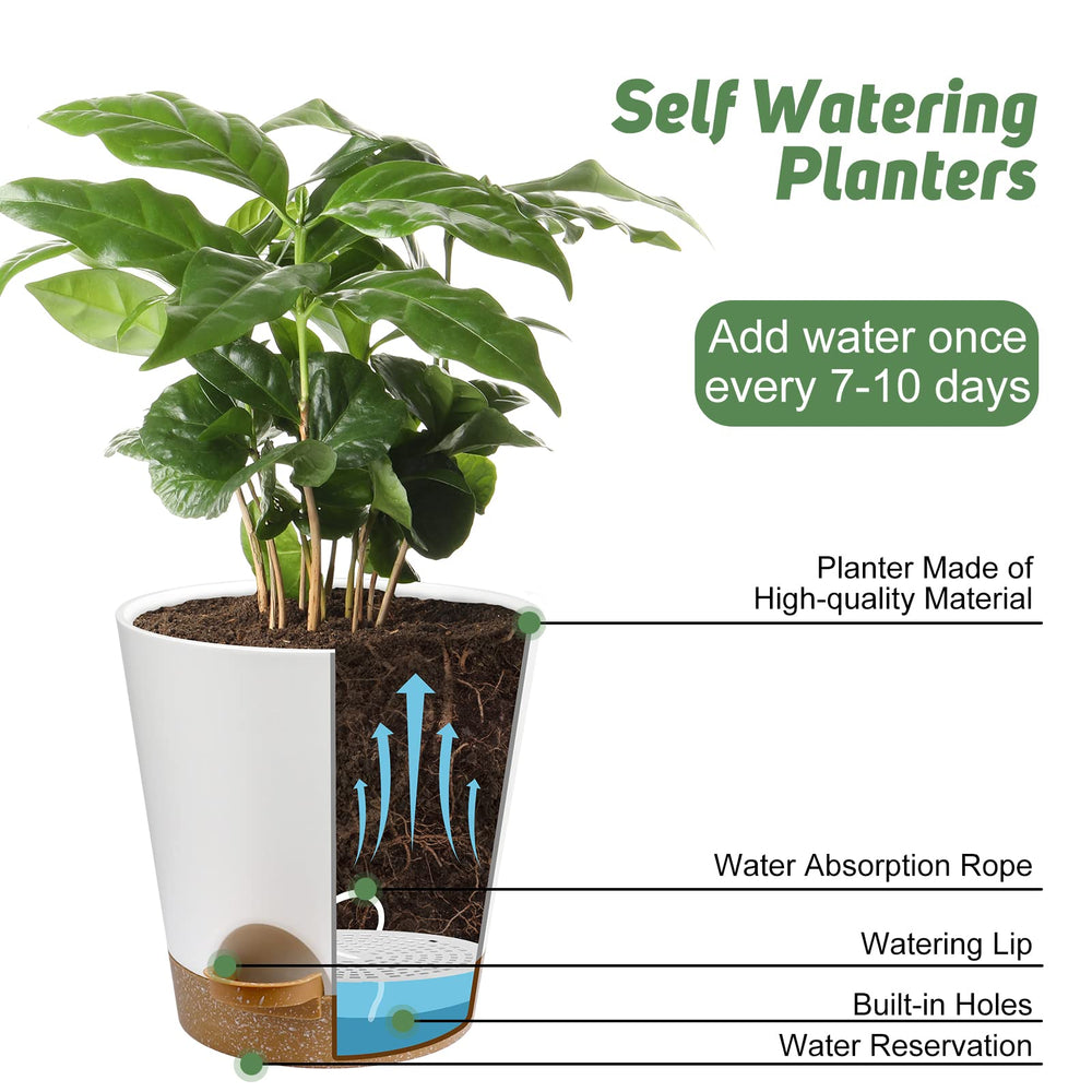 YNNICO Indoor Self Watering Planters 5.5 inch white pot with clean matte finish