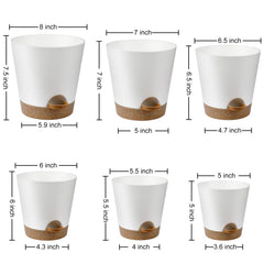YNNICO Indoor Self Watering Planters 6 inch white pot with multiple drainage holes