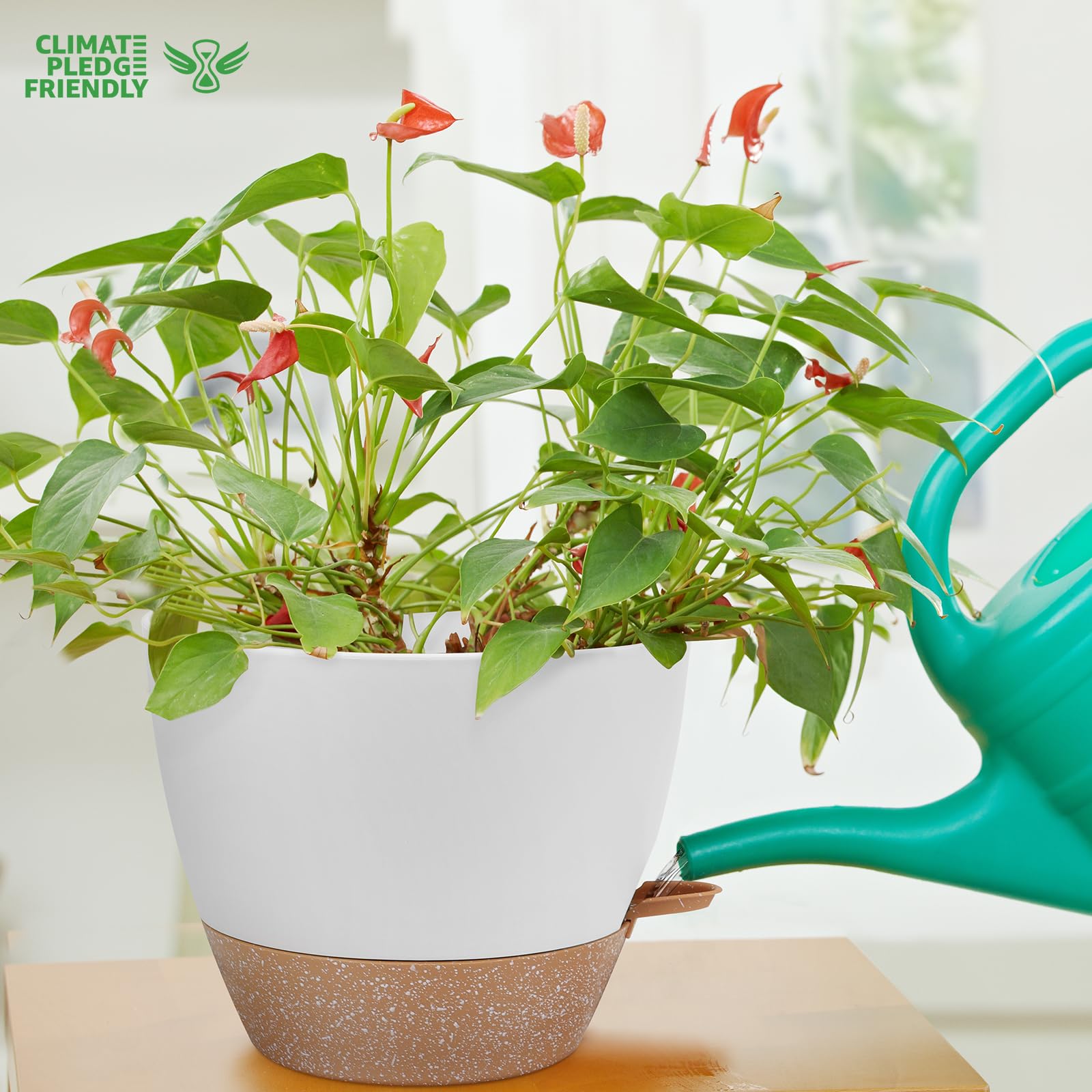 YNNICO large pot showcasing deep planting space