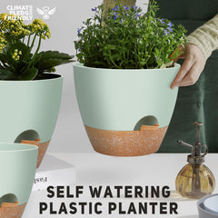 YNNICO self watering pots arranged on a window sill