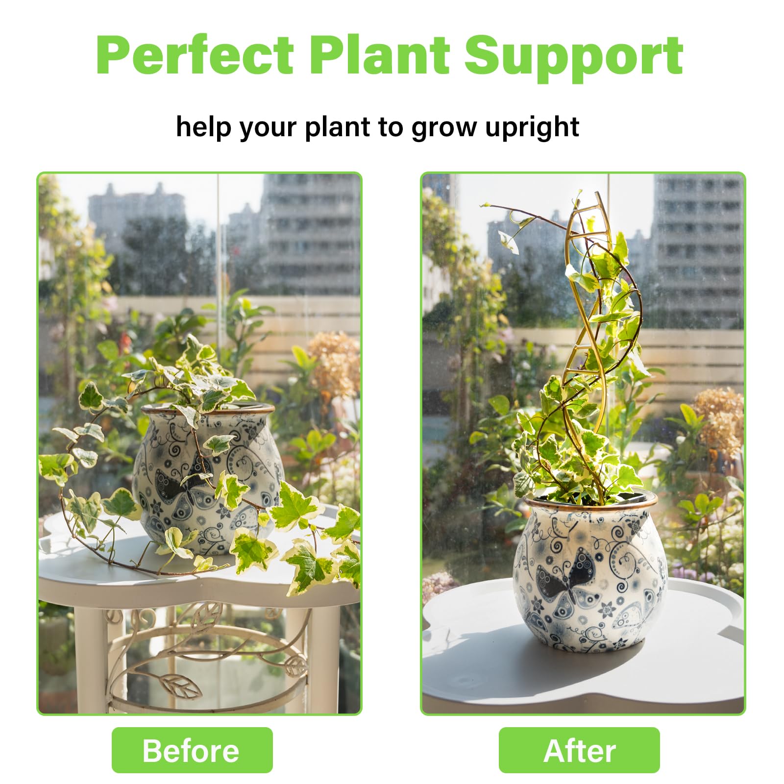 Yohsnor DNA Plant Trellis installed in a potted plant