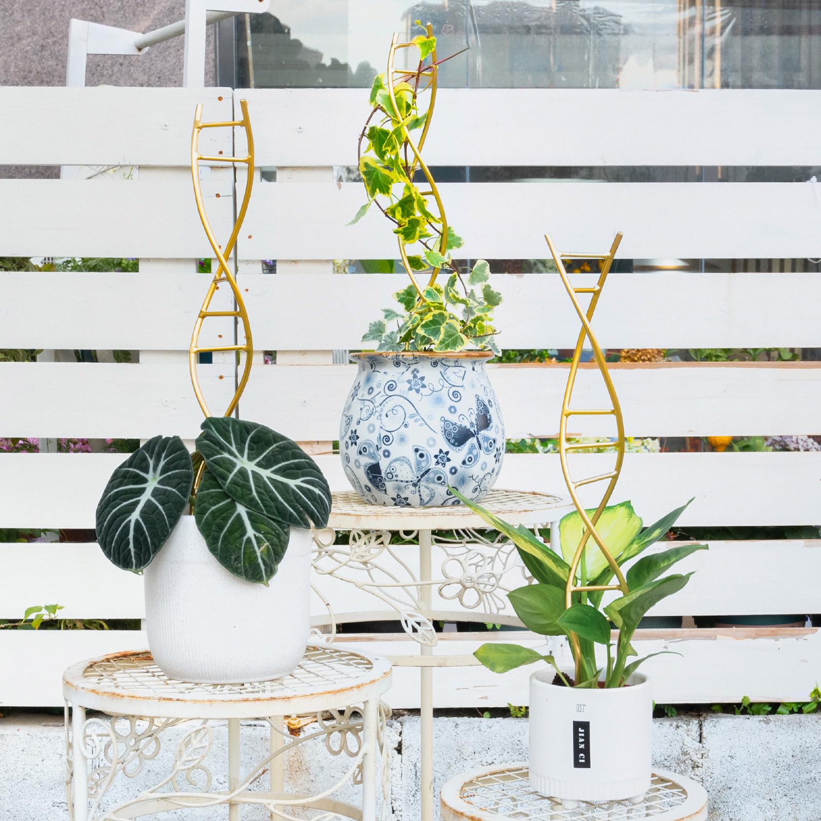 Yohsnor DNA Plant Trellis with climbing plants