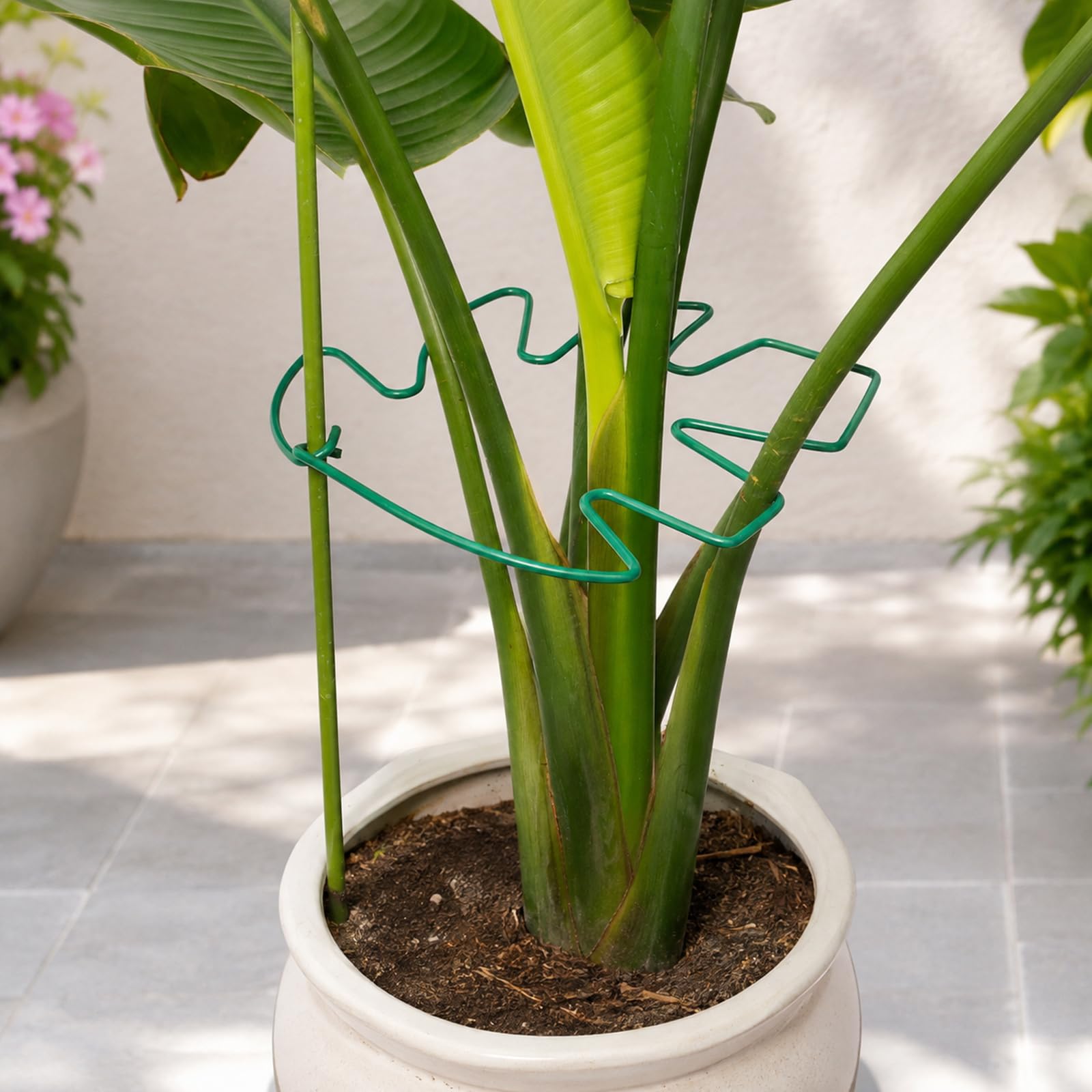 Yohsnor Monstera plant support stem set of 5 in green color