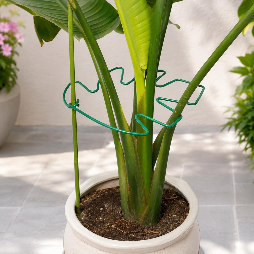 Yohsnor Monstera plant support stem set of 5 in green color