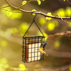 Yojanner outdoor suet cage bird feeder hanging on a tree
