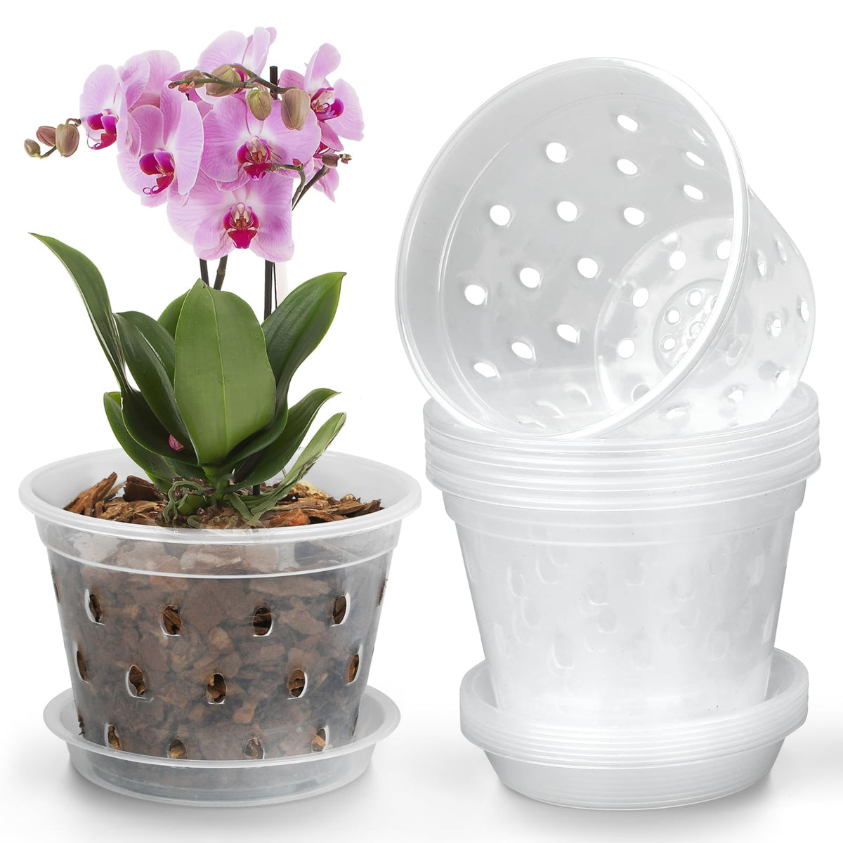 YOPIKUU 3-inch clear orchid pot with saucer front view