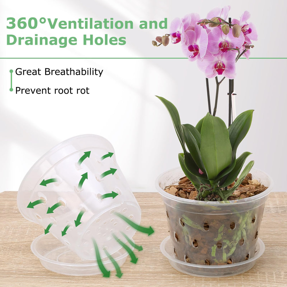 YOPIKUU 3-inch orchid pot with visible roots and soil