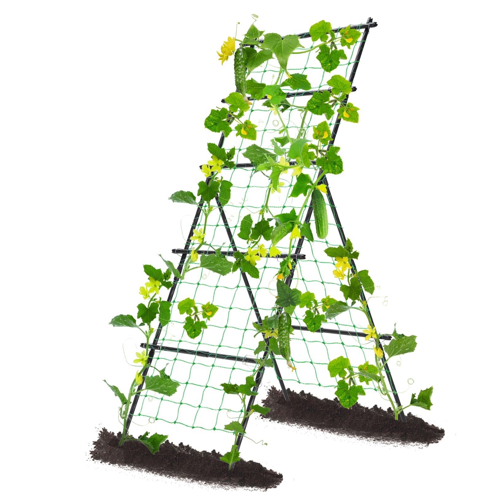 yotoworth A-Frame Cucumber Trellis front view with climbing netting