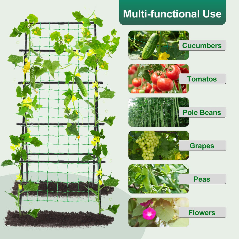 yotoworth A-Frame Trellis showing sturdy legs