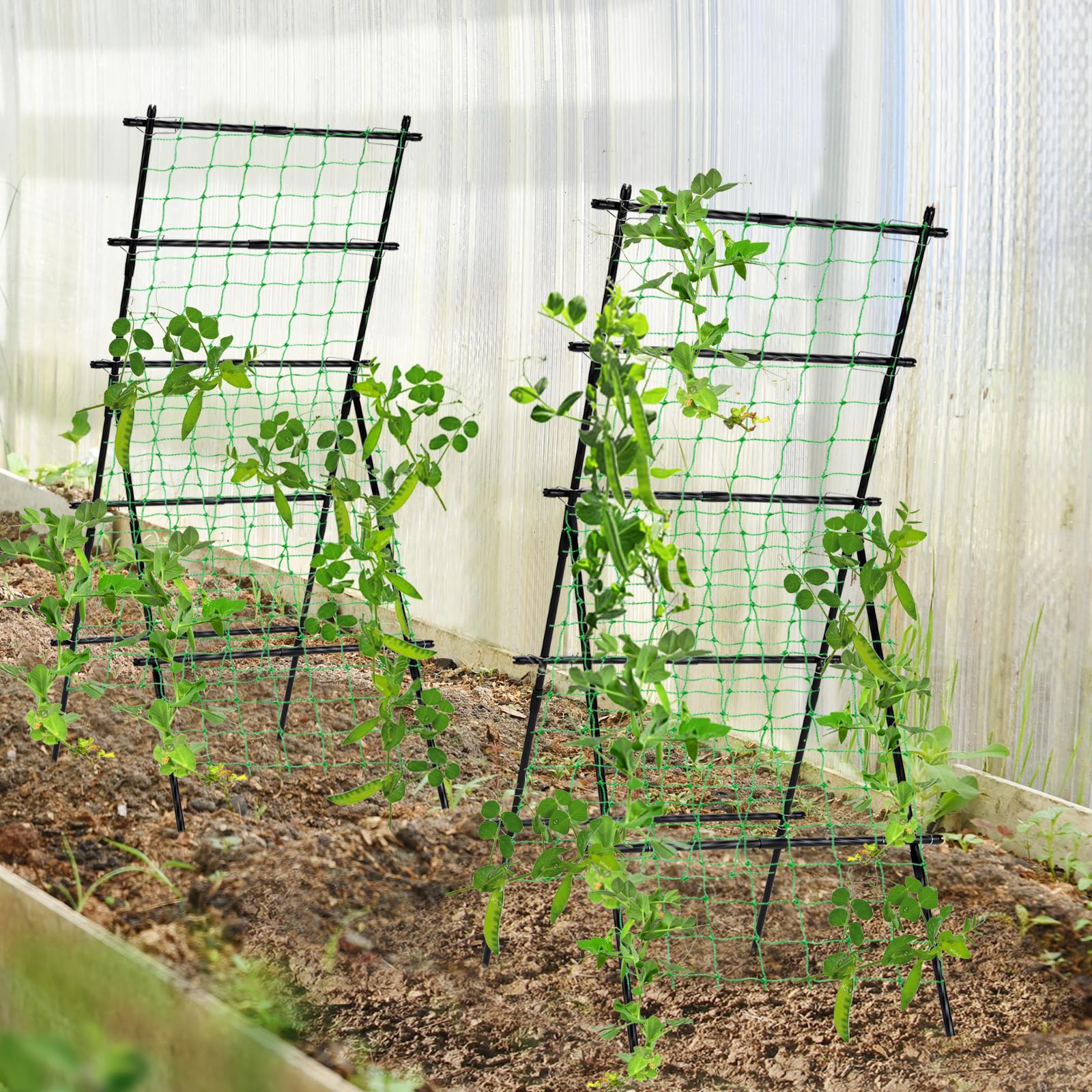 yotoworth Cucumber Trellis compact and collapsible for storage