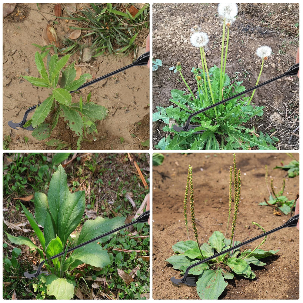 Young4us weeder tool in use in a garden