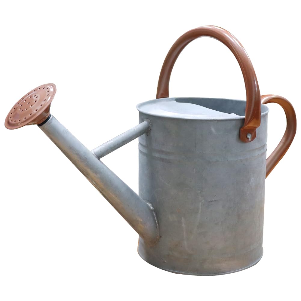yourjoy Metal Watering Can 1 Gallon in Zinc colour, front view