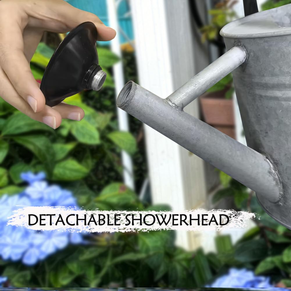 yourjoy Metal Watering Can top view with water inside