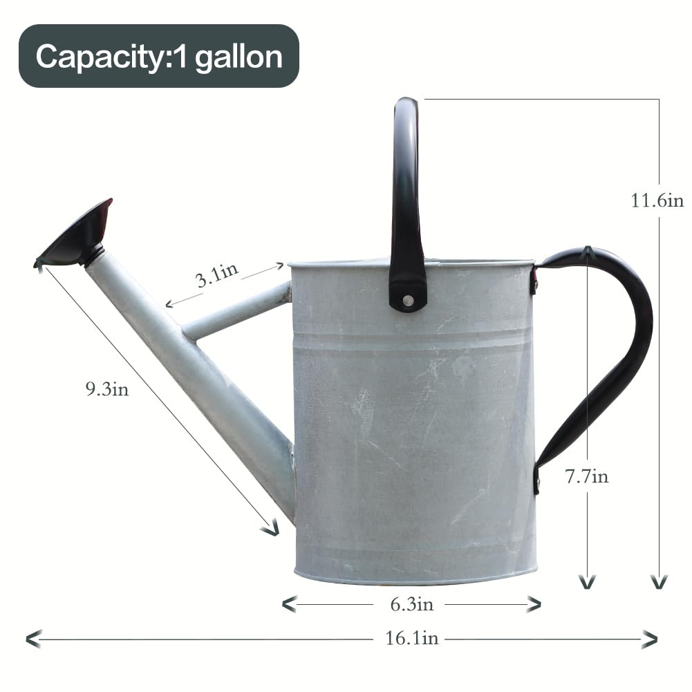 yourjoy Metal Watering Can with flowers as a planter