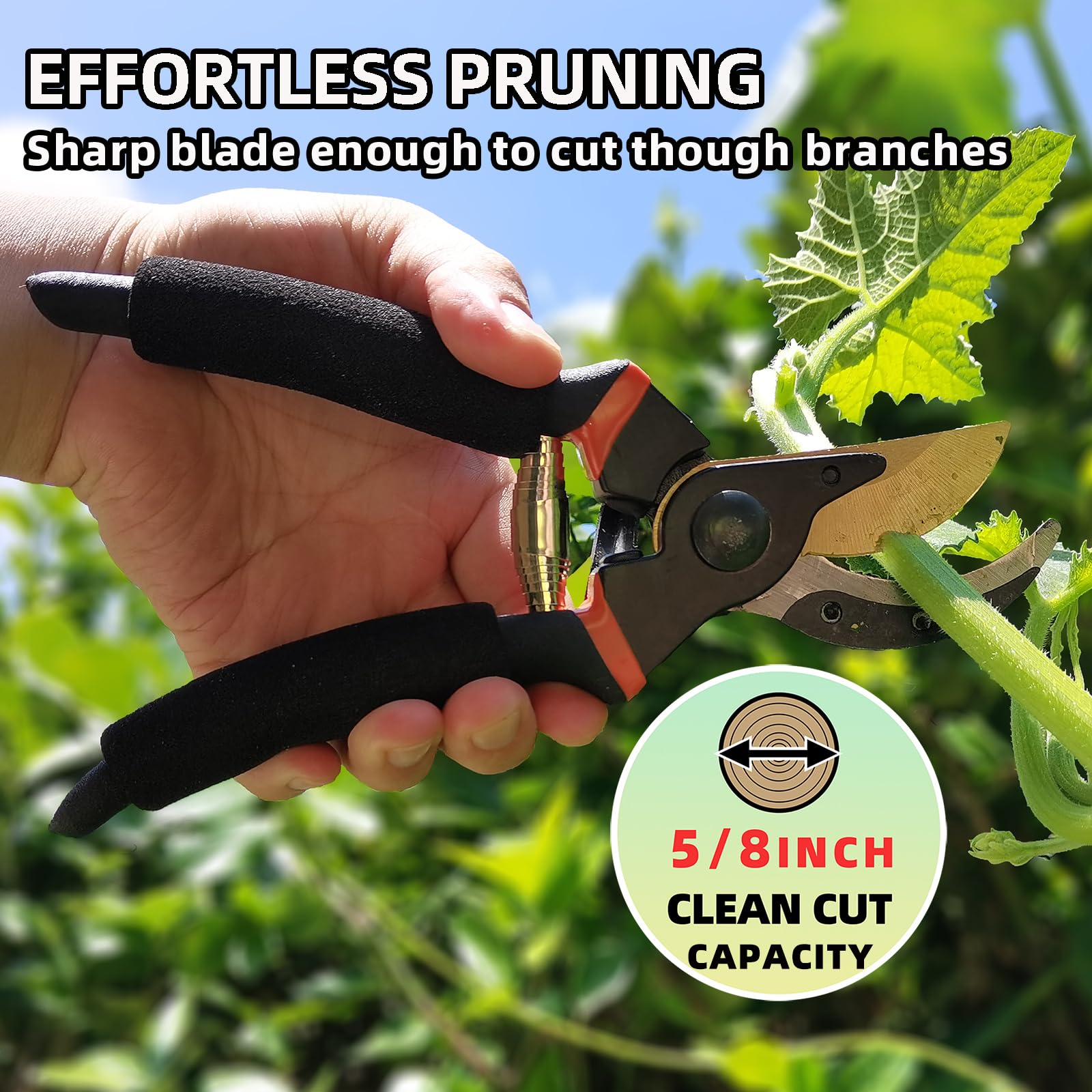 YRTSH garden tool set packaging