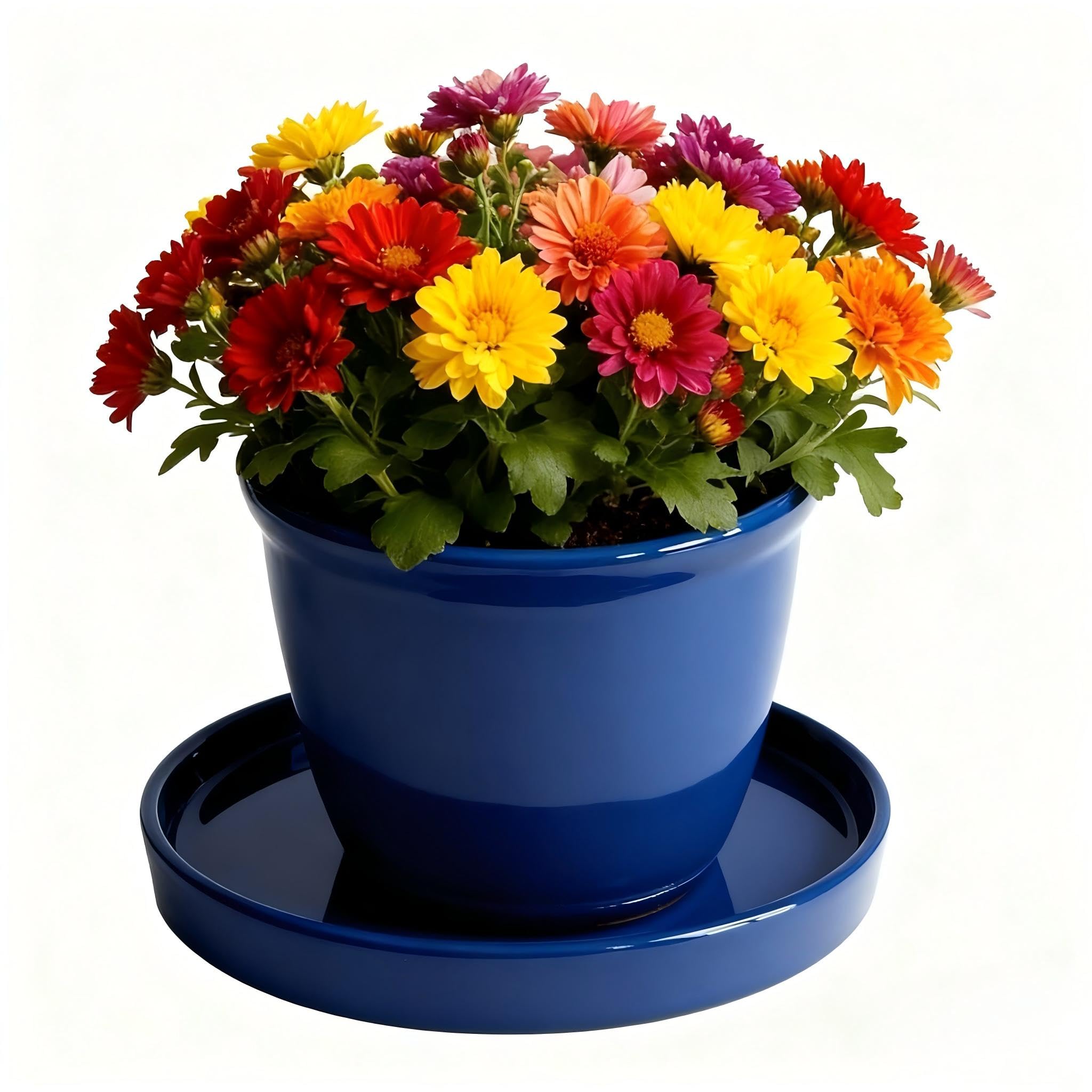 Yukfona blue ceramic plant saucer next to a flower pot