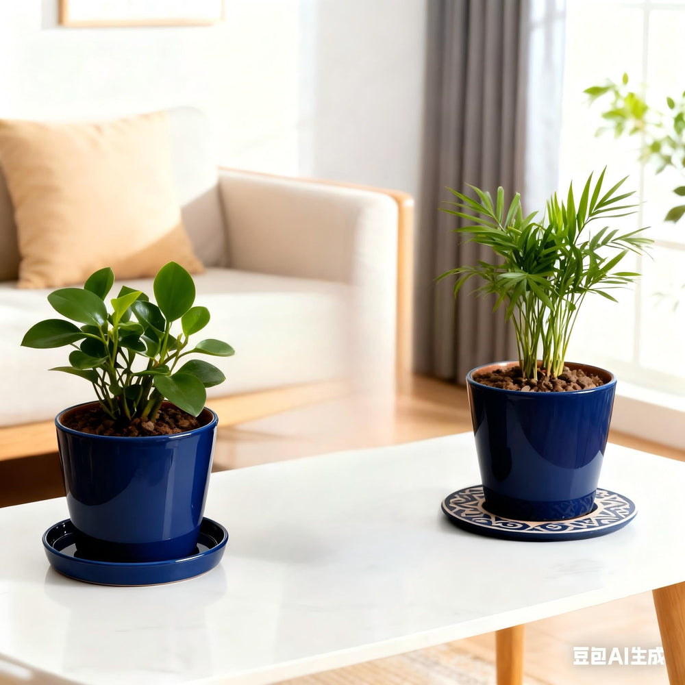 Yukfona Ceramic Plant Saucer displayed with potted plants indoors