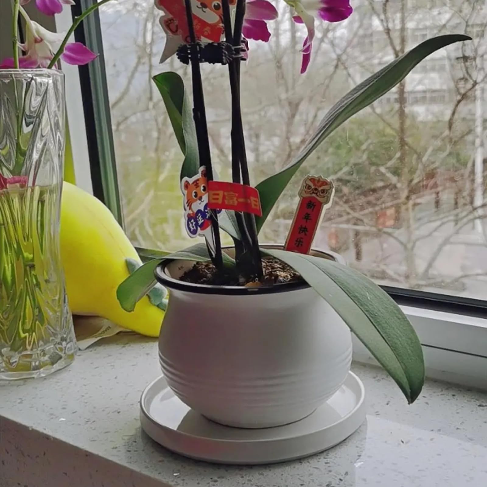 Yukfona ceramic plant saucer on wooden table