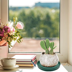 Yukfona ceramic plant saucer tray 7-inch green with potted plant