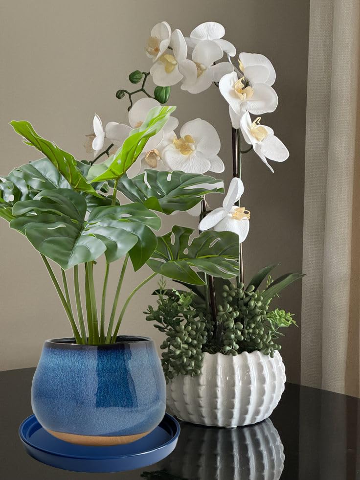 Yukfona ceramic plant saucer tray dimensions