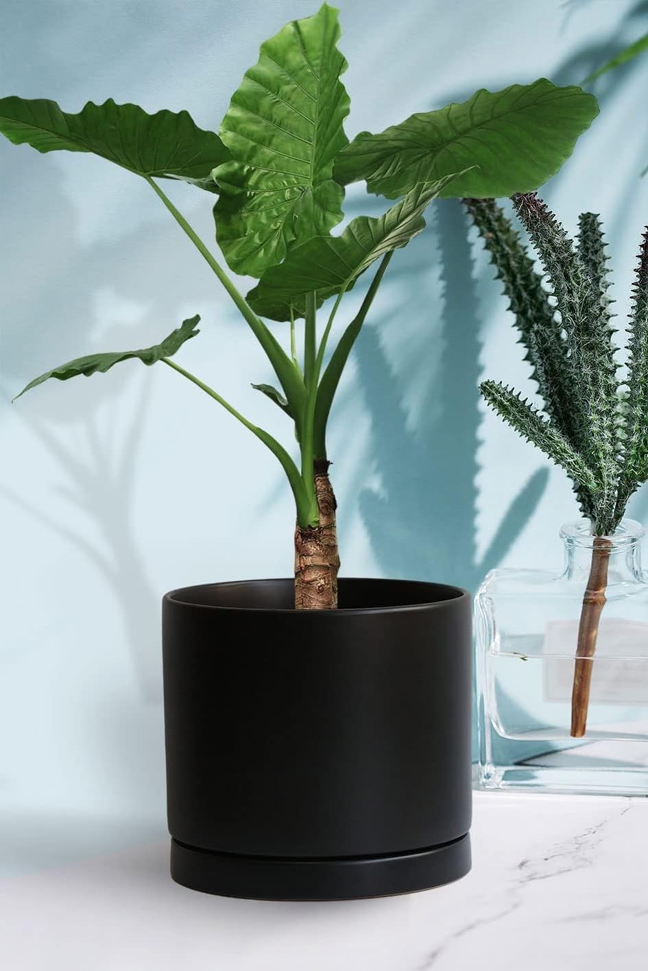 Yukfona ceramic plant saucer tray in garden setting